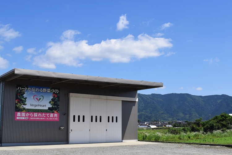 ベジハ―ト倉庫前でとうもろこしの直売